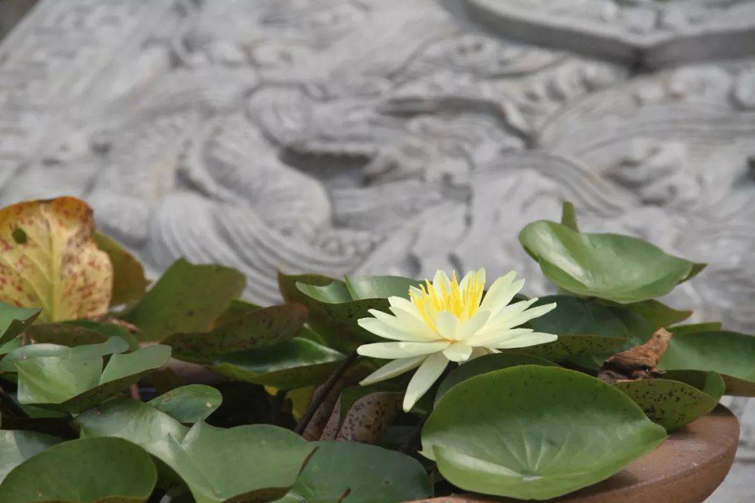 永兴寺一日禅舍与得