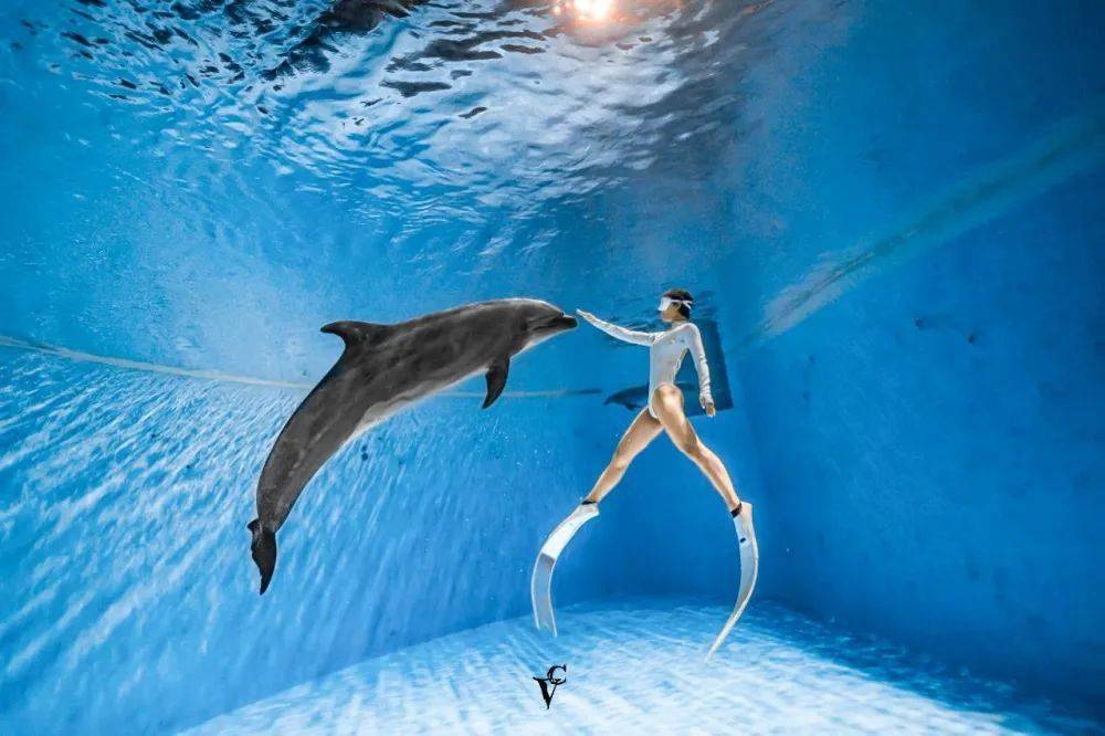 全民健身摄影比赛 | 与海豚共舞_重庆市_作品_运动