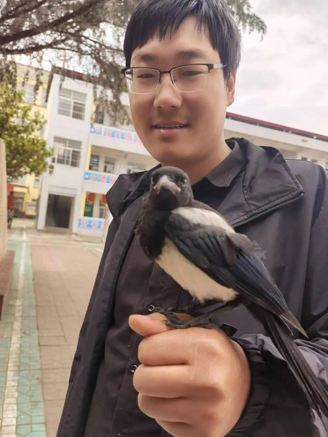 三隻小喜鵲飛進來了獨樹鎮一初中_小傢伙_校園_李海強