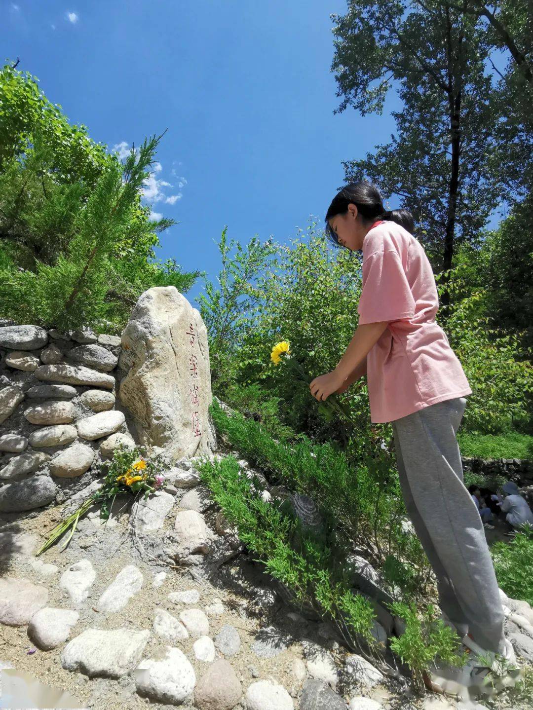 讓馬蘭花兒永遠綻放在太行山上