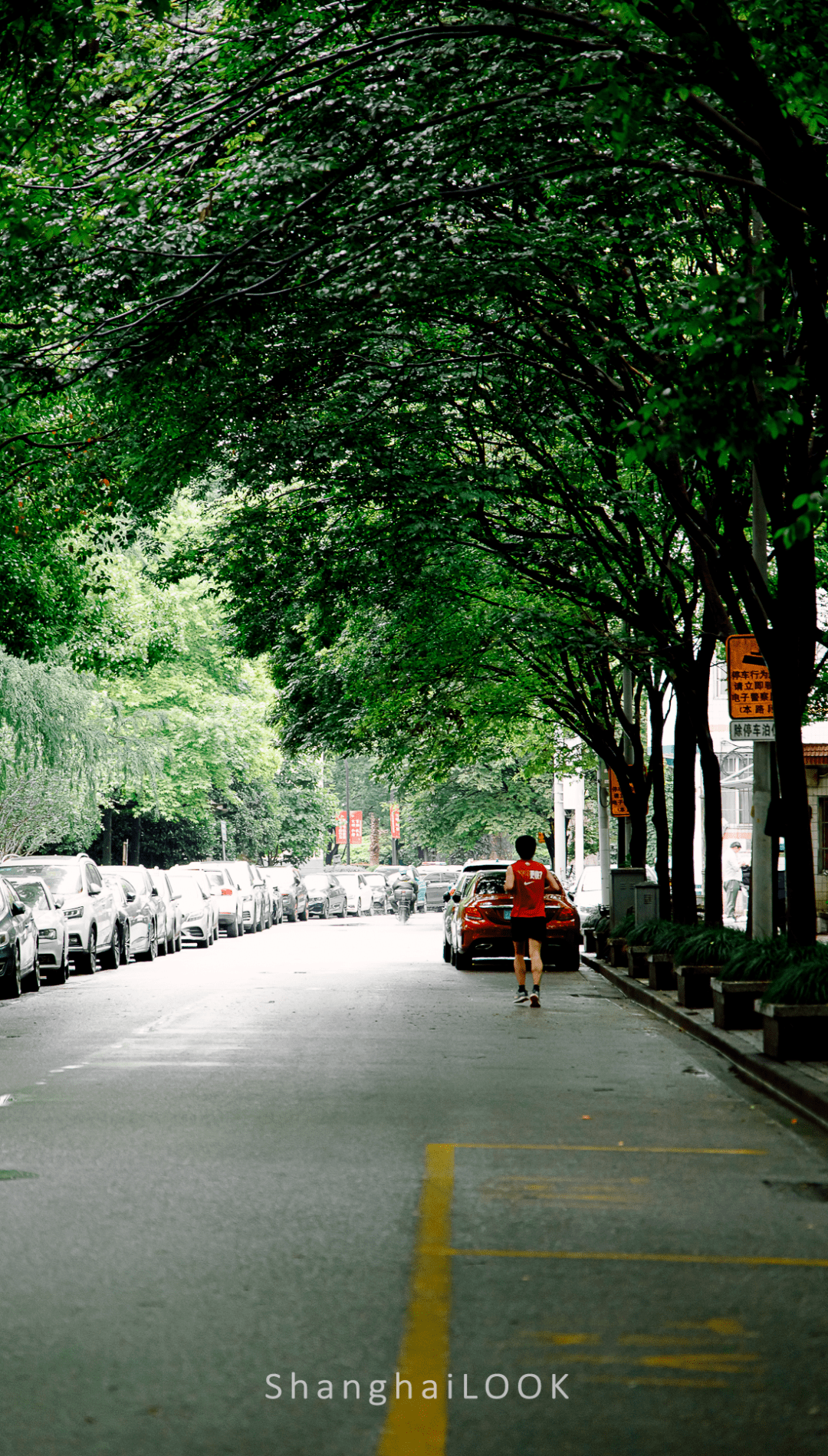 LOOK | 魔都放风指南 · 久违的初夏街景