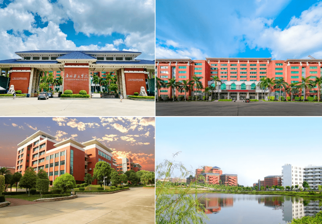 广州华立学院2022年普通专升本计划再创新高招4637人