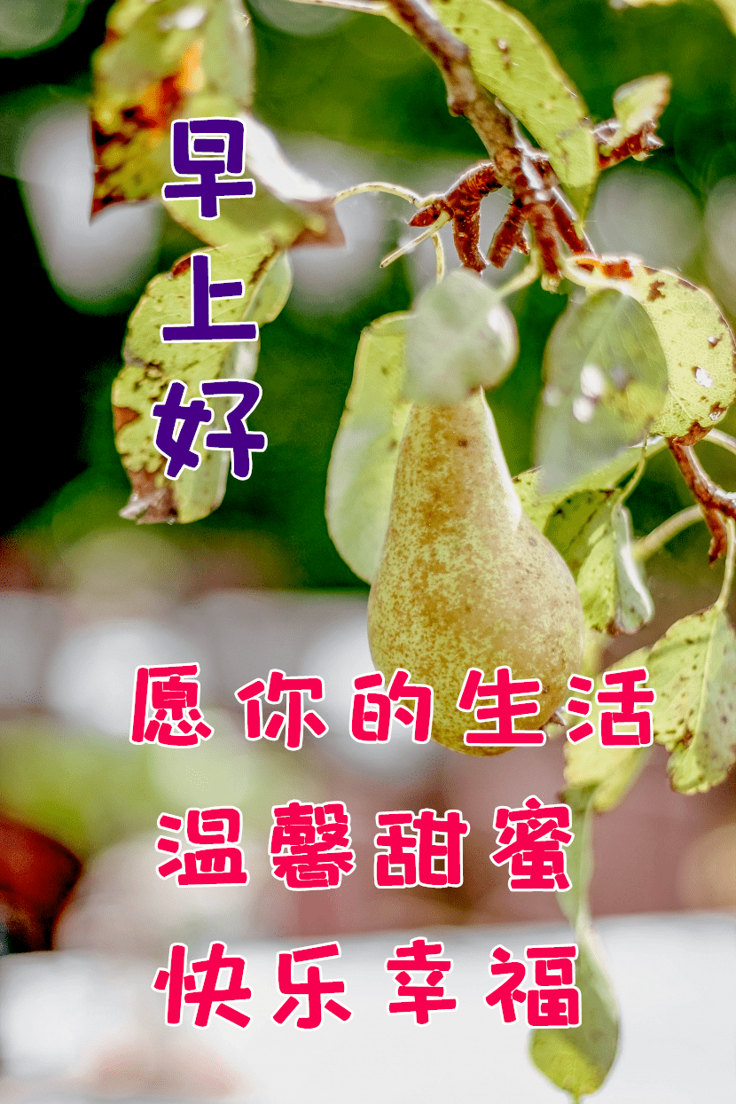 好看的亲人朋友圈早上好问候祝福语图片_心态_人生_生活