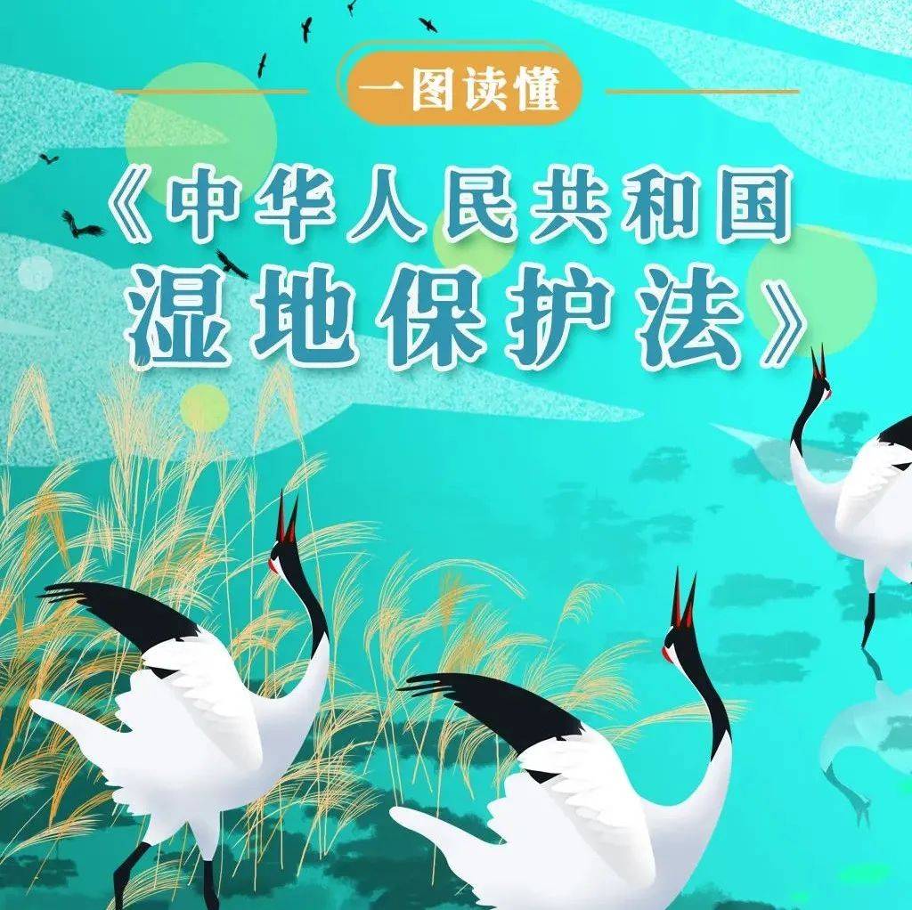第十期中国凤仙花科植物||保护植物多样性 维护全球生命共同体-中国野生植物保护协会