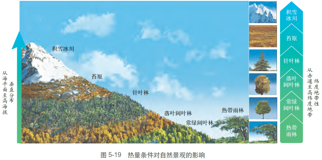 落叶硬叶林分布图片