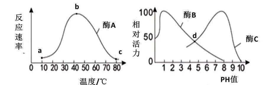 初中生物中考曲線類試題29例,考到的概率很大!_光合作用_答案_變化