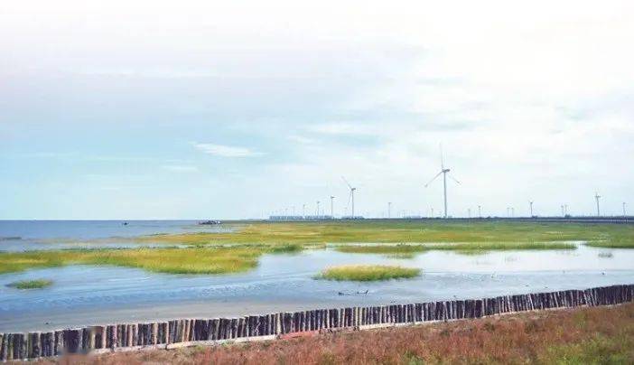 启东精心打造最美江海岸线_长江_建设_堤顶