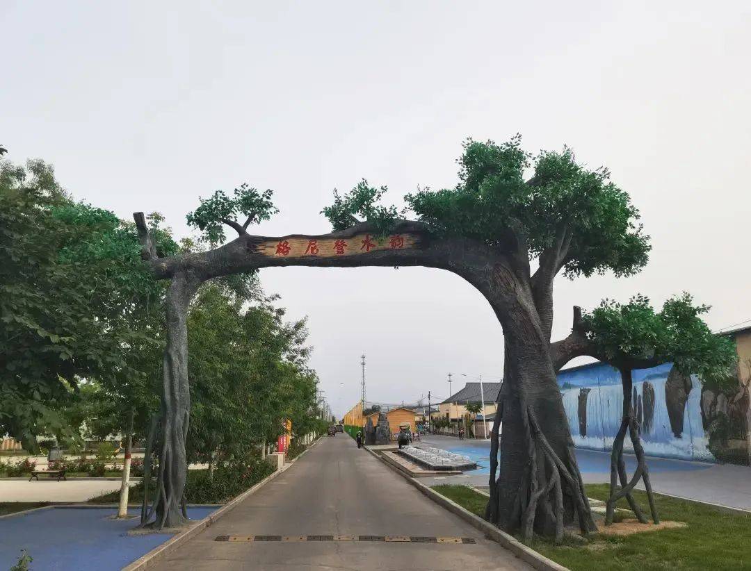 乡村夜市 点燃"烟火气"_格尼登_乌图布拉格镇_美食