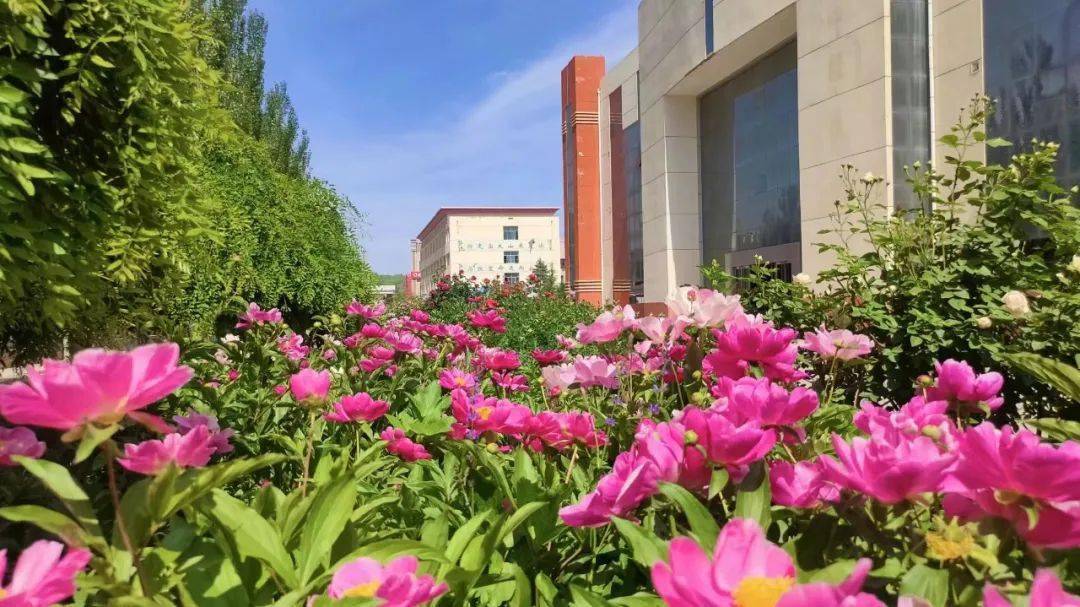 固原市五原中学开展校园写生活动