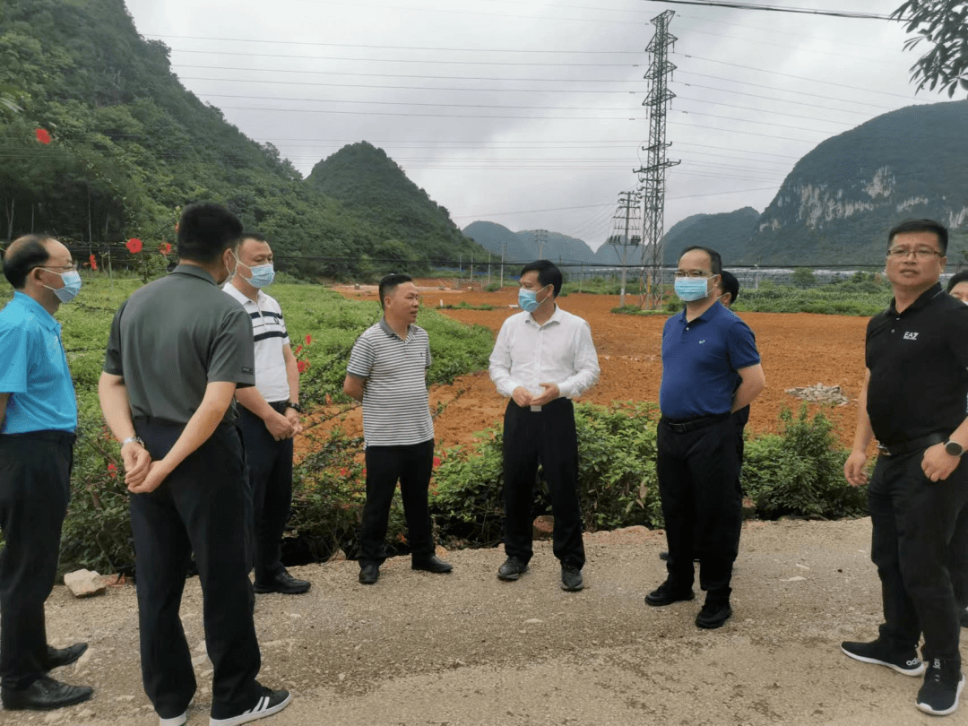 5月31日,百色市人民政府副市长蓝树东带队到靖西市开展卫片执法整改