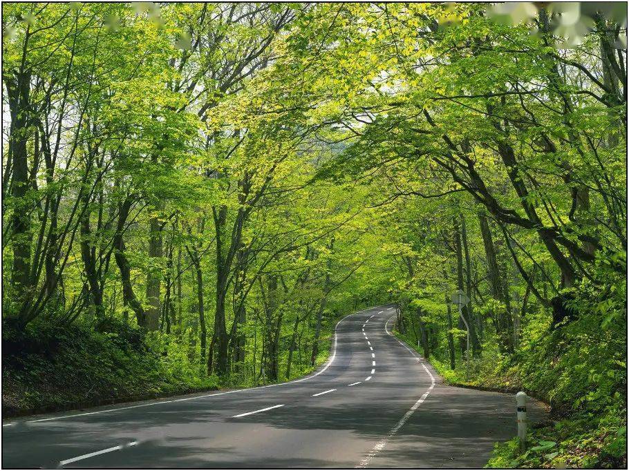 静心美景舒心欣赏