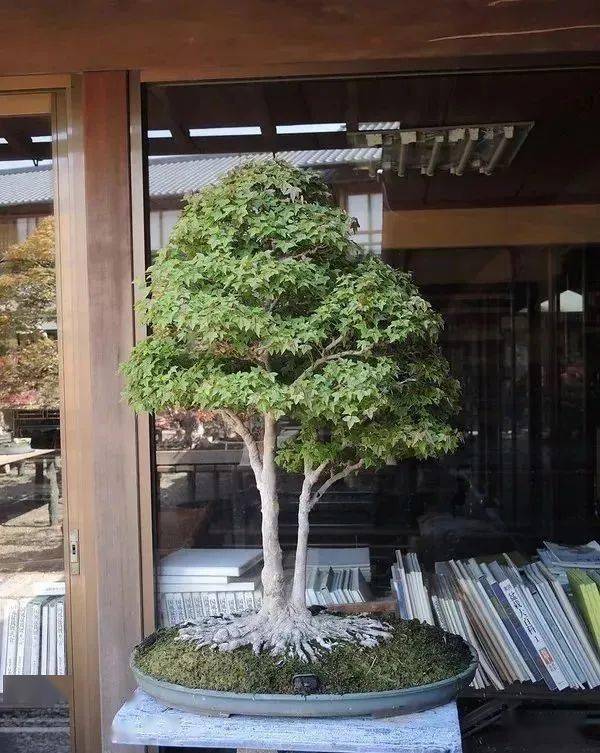 禅意是一种境界,像自然借一分灵气,身是菩提树,心如明镜台,一呼一吸