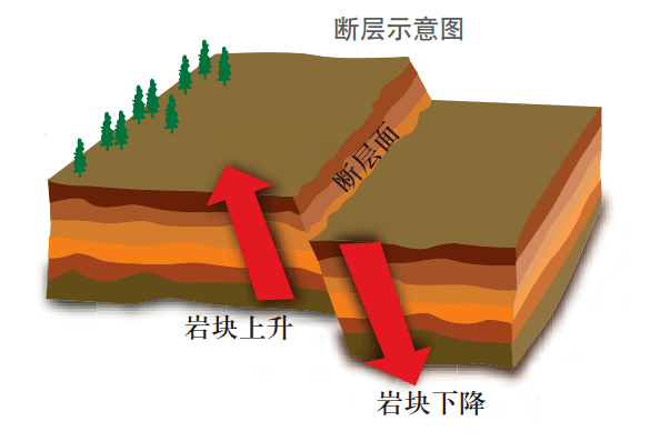 两侧的岩块沿断裂面发生明显的错动,位移,由此形成的地质构造称为断层