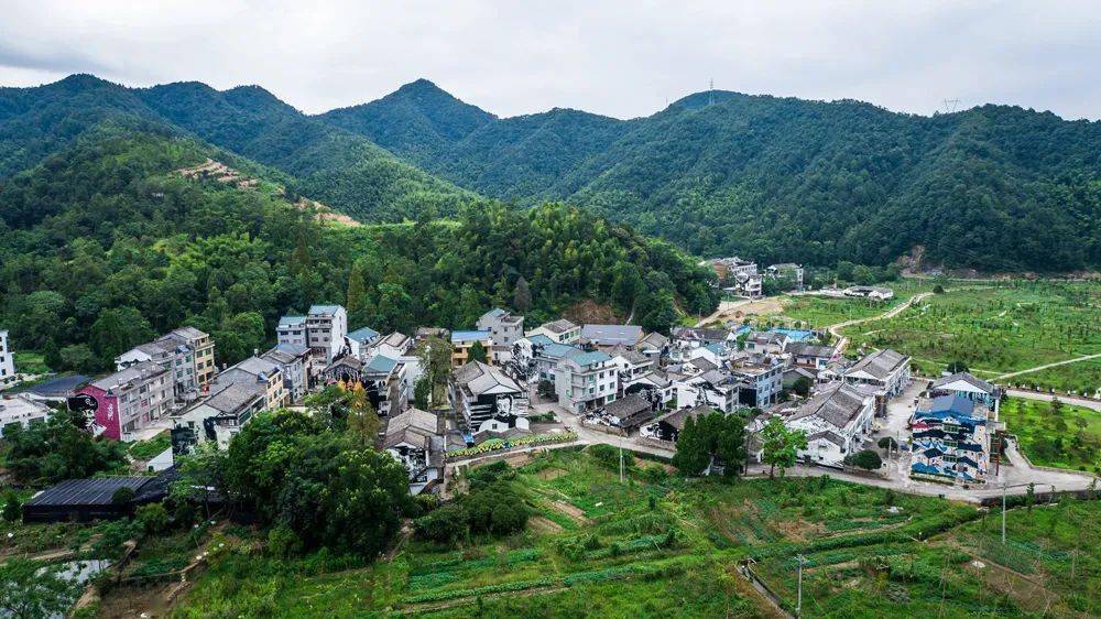 台州唯一!_湾村_白鹭_宁溪镇