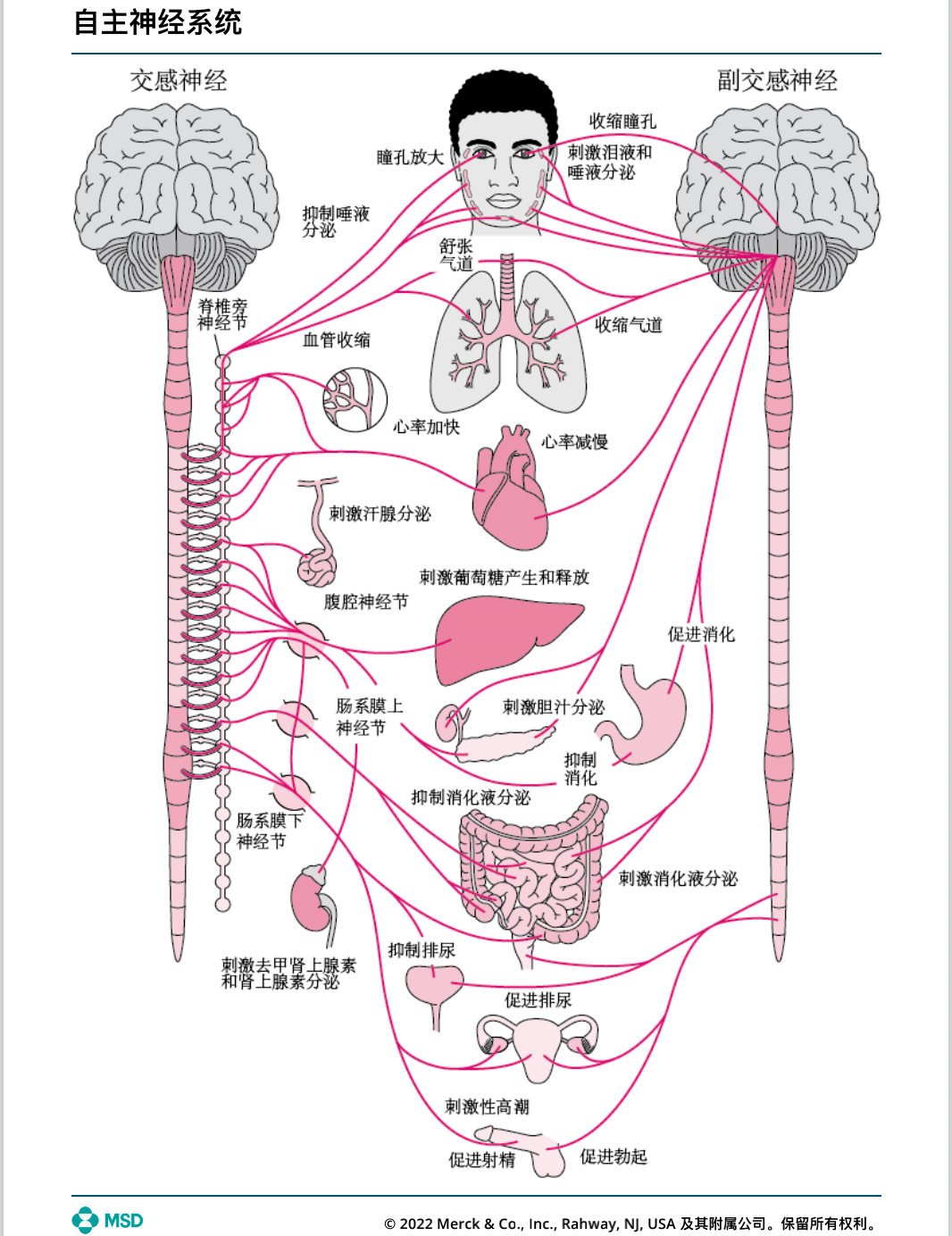 麻醉医生和外科医生最常battle的话题:你们肌松药是假的吗?