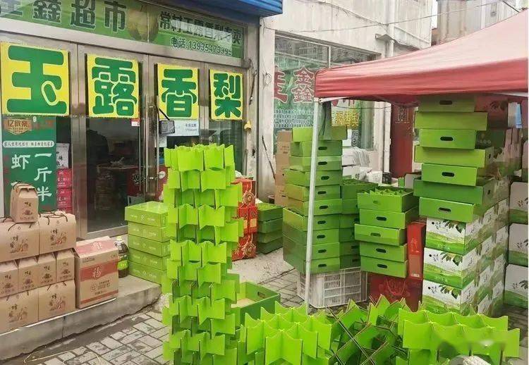 【寿川文苑】"梨王"侯志强(中篇纪实文学连载之5)_常村_山西省农科院