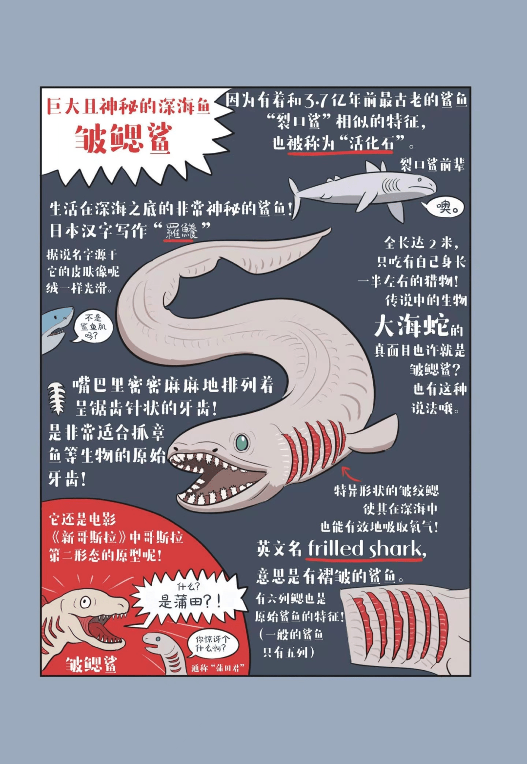 深海鱼:皱鳃鲨皇帝企鹅 & 北极熊不可思议生物:鸭嘴兽【日】沼笠航