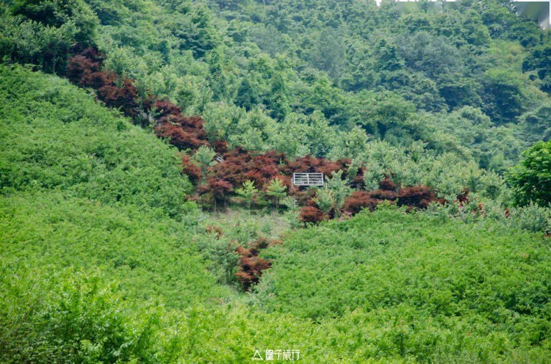 唤醒柒月麓山的爱对酒当歌人生几何