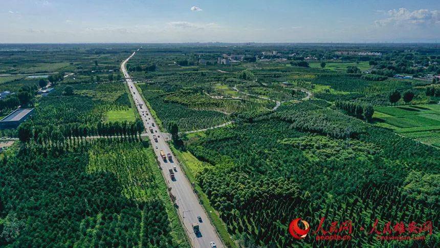 雄安"千年秀林",全覆盖_新区_防火期_灭火