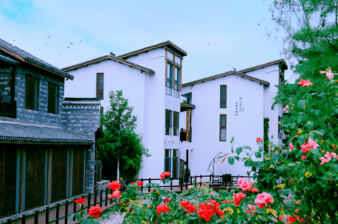 畈塘·拾吾舍民宿创客村揽月观塘畈塘·荷郷舍这个端午六家畈始终陪伴