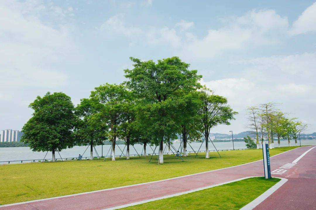 南沙明珠湾公园图片