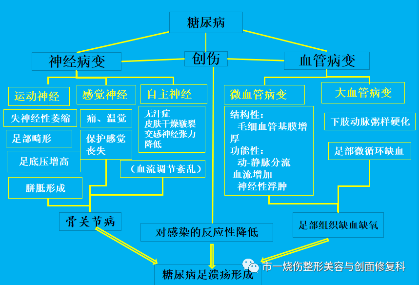 糖尿病足的病因及发病机制3中国是糖尿病患者人数最多的国家