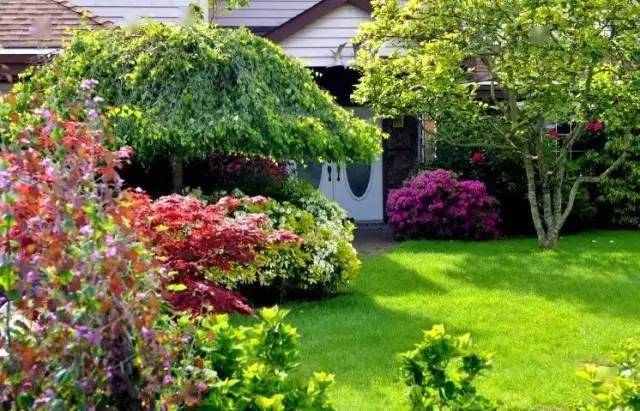 50例美国别墅庭院植物搭配,真是开眼界了.