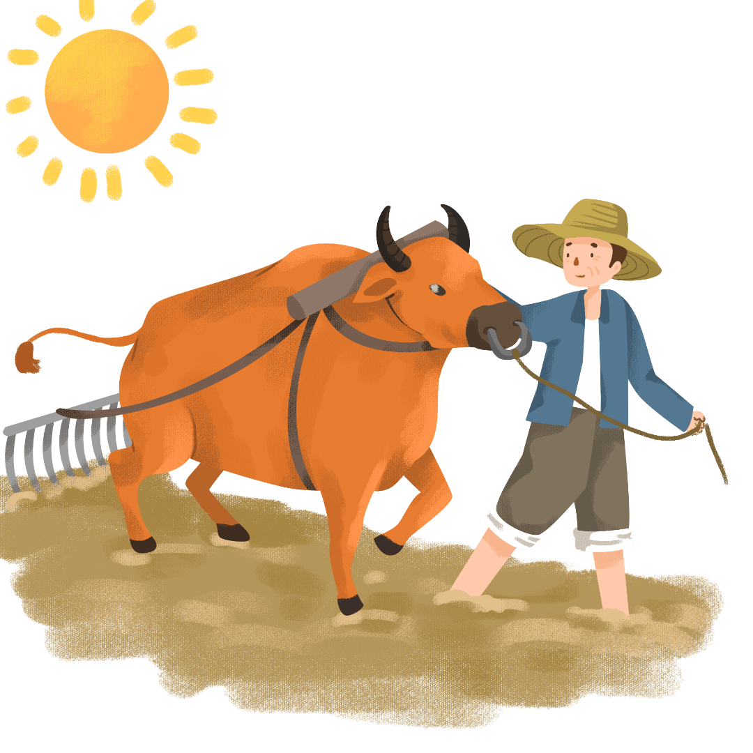 芒种到,又是青梅煮酒时!记得给孩子吃点"苦"..._摄图_食物_活动