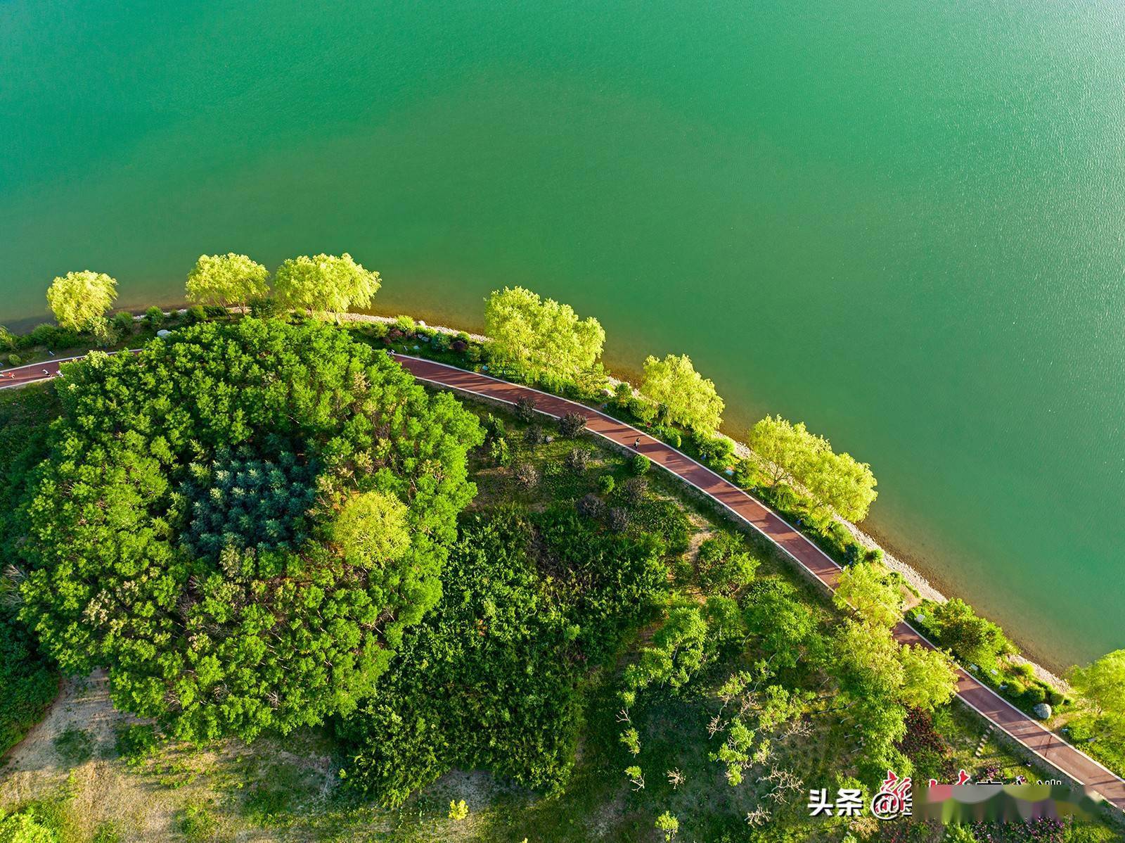 6月3日,在張掖蘆水灣生態景區,夕陽的餘暉灑滿湖面,湖水波光粼粼.