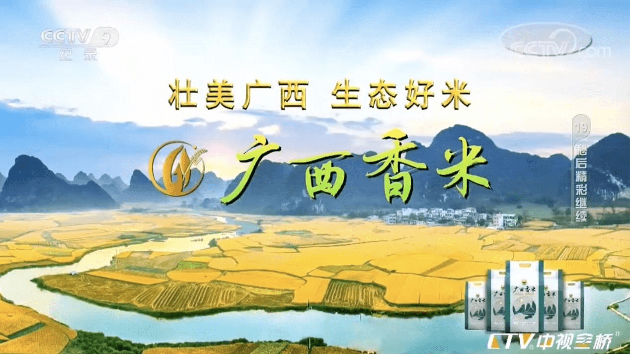 广西香米再上央视 带您细品舌尖上的味道_频道_覃家权_唐志强