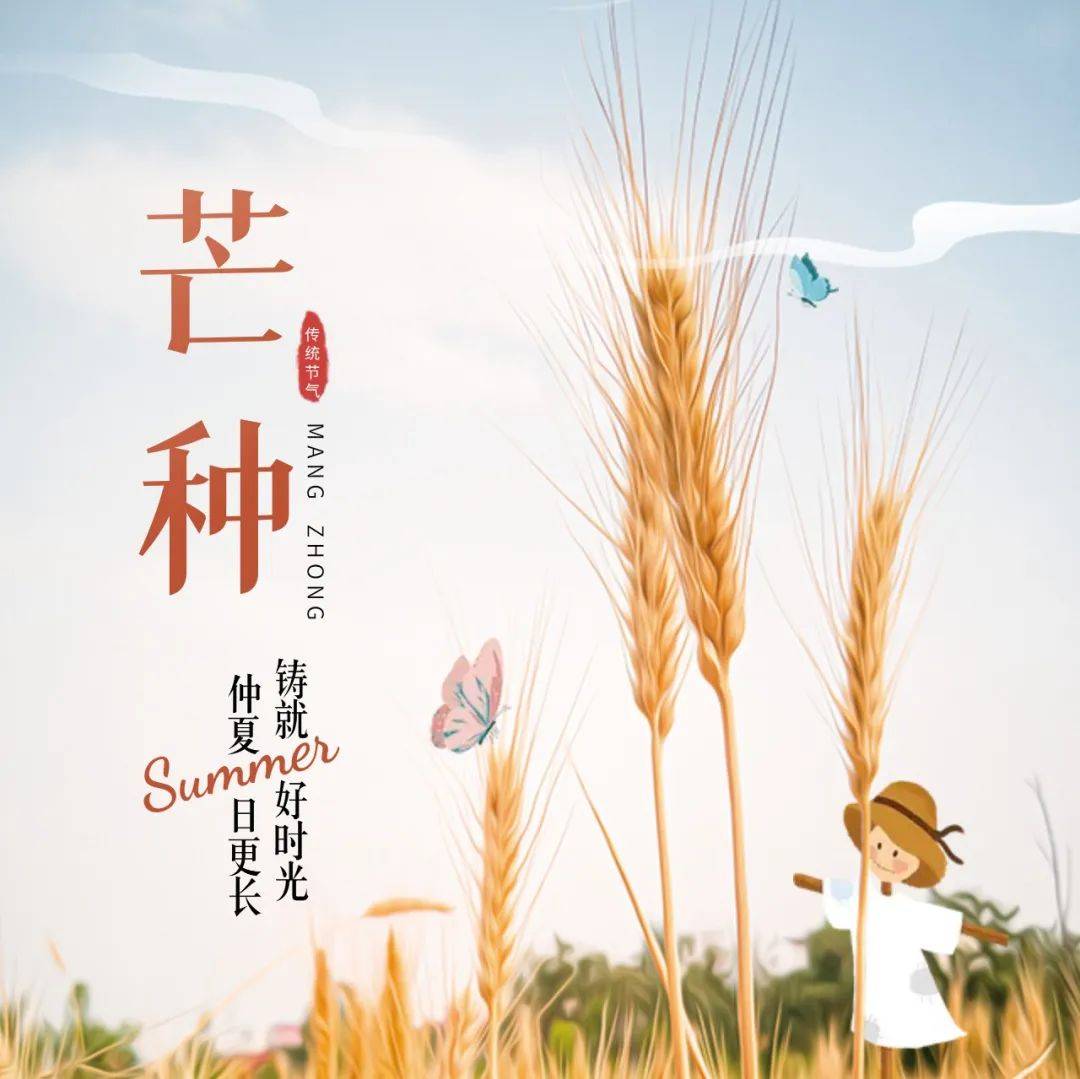 今日芒种!仲夏日更长,铸就好时光_收获_禾壮_夏争时