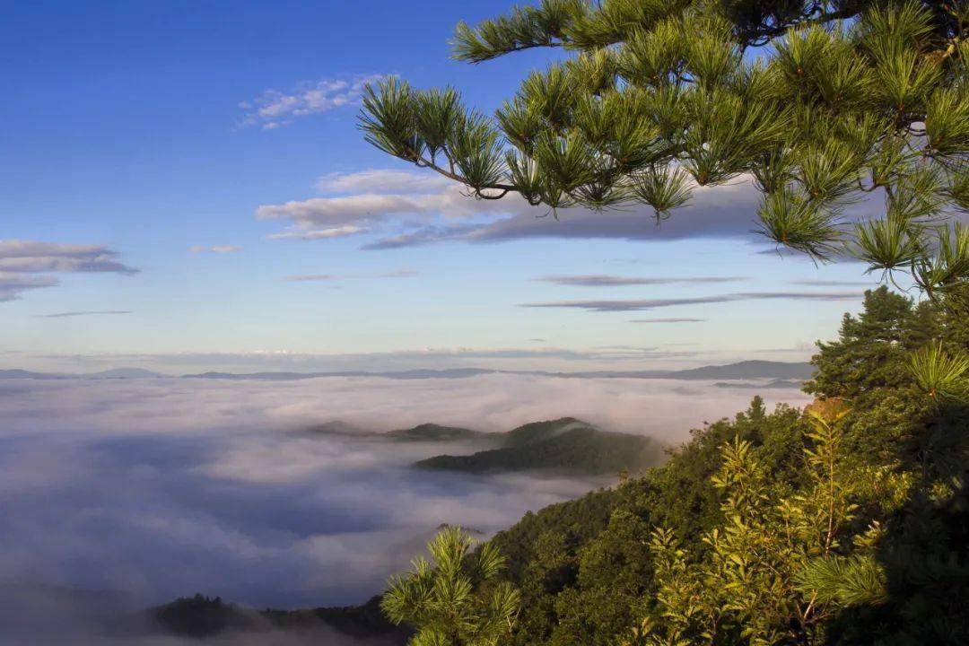 冲刺吧,少年!_金林_风景_赵子淋