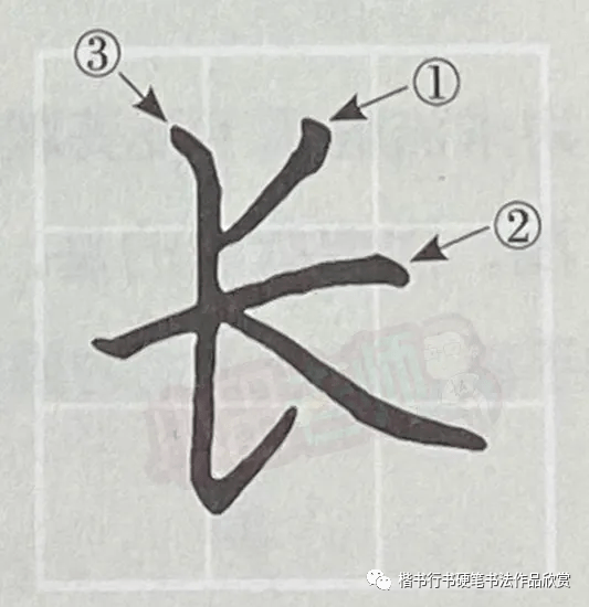 硬笔书法手写示范笔顺正确写法动态图_顺序_笔画_考试