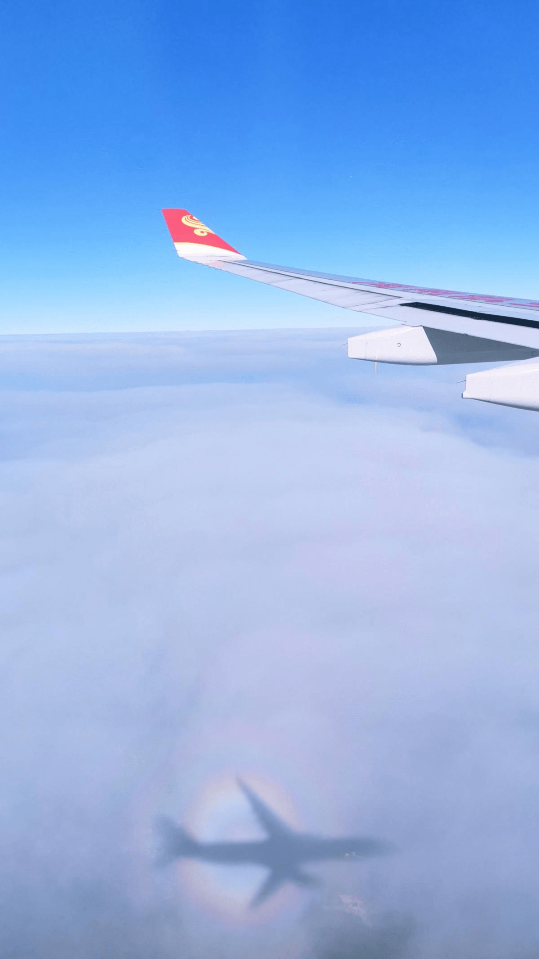 76李锶阳《飞机上的布罗肯现象》76白鹭在珠江上低飞,阳光透过