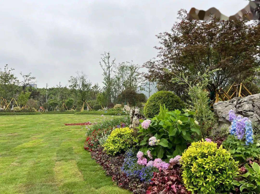 乐清这两处环岛换"新装"_改造_绿化_柳市镇