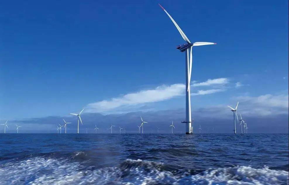 海洋_自然资源_向海