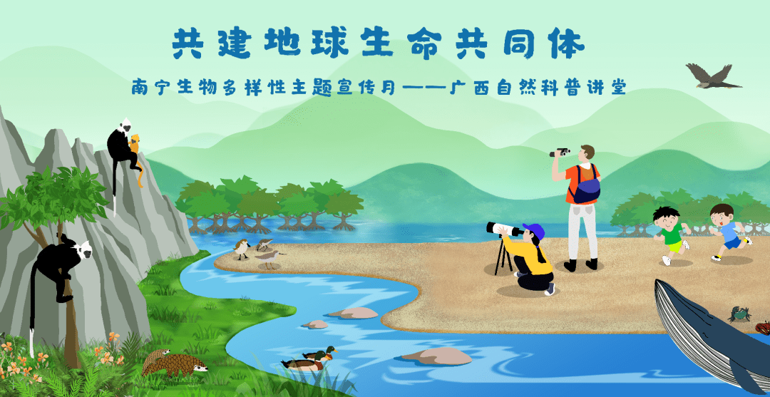 生物多样性宣传月带你了解南宁海绵城市建设