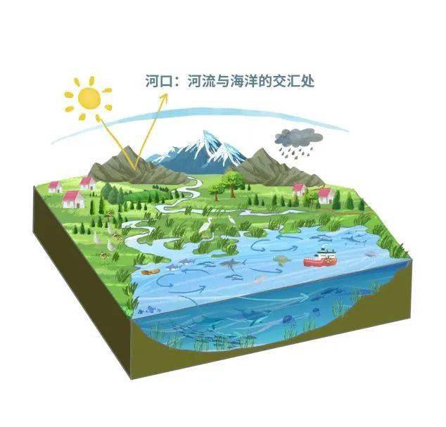 什么是海洋生态系统?_海生_珊瑚礁_海底
