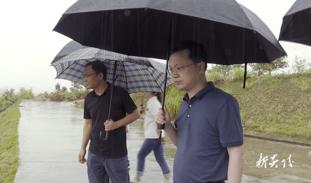 县长夏胜利在霞阳镇跃进水库,草坪村新屋组滑坡地质灾害点,双江口河道