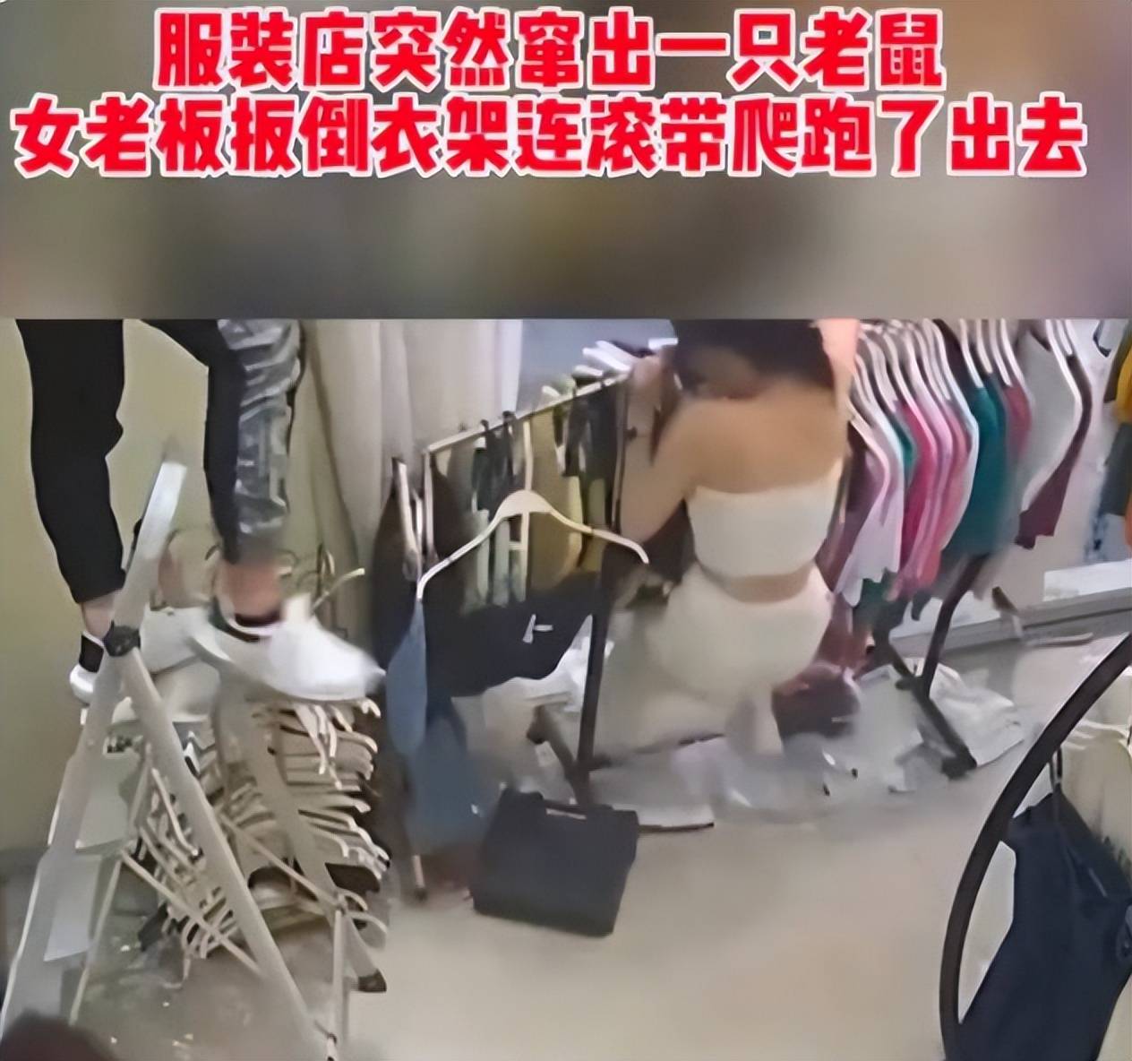 服装店突然窜出大老鼠 时髦女老板吓得扳倒衣架 连滚带爬跑出去 女子 Jpbl Jp 来源