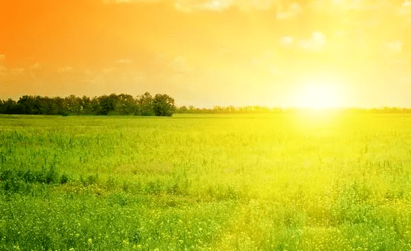 顺其自然,是生命的最高境界_波罗蜜_生活_般若