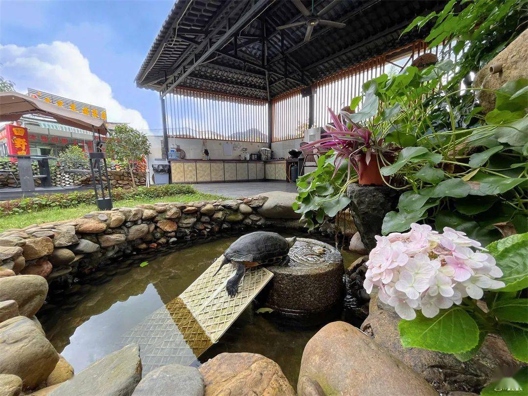 一房一庭院一院一私汤沙迳这间温泉民宿终于被曝光了