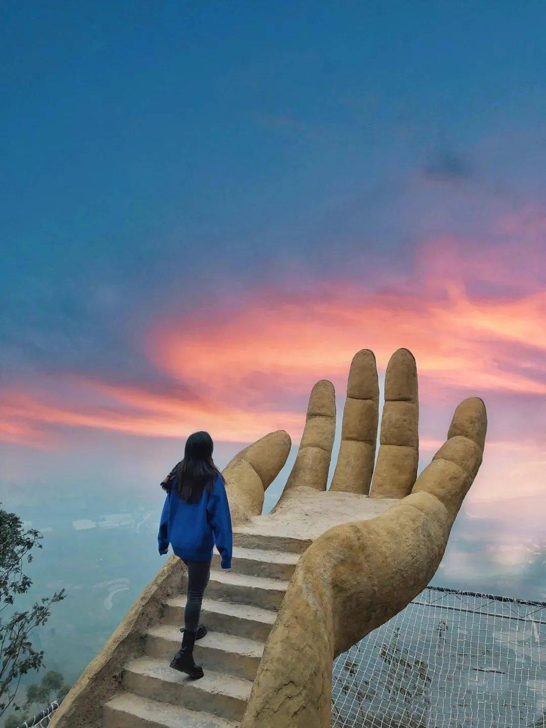 巴南区_养生_佛手