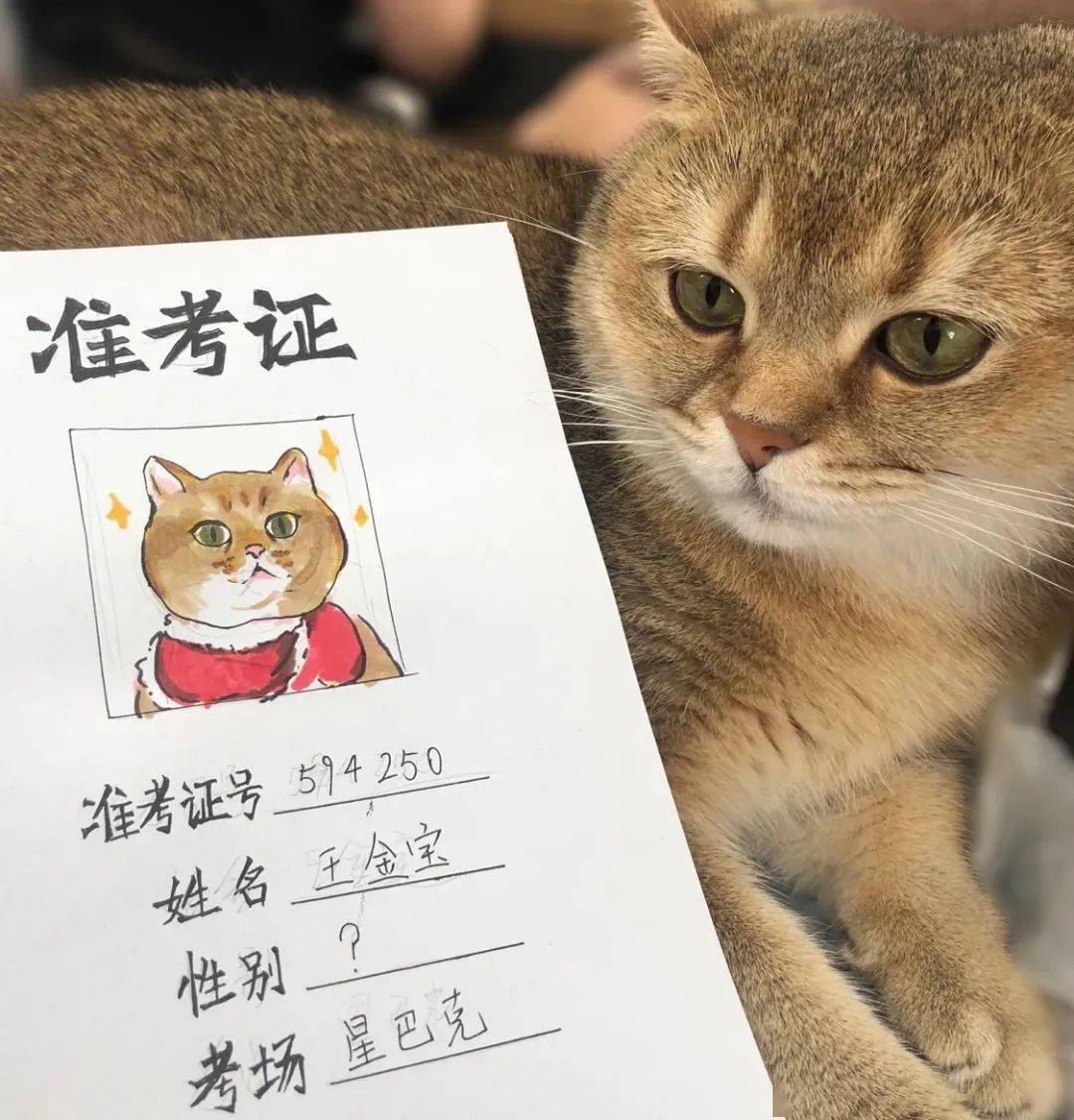 优惠_活动_准考证