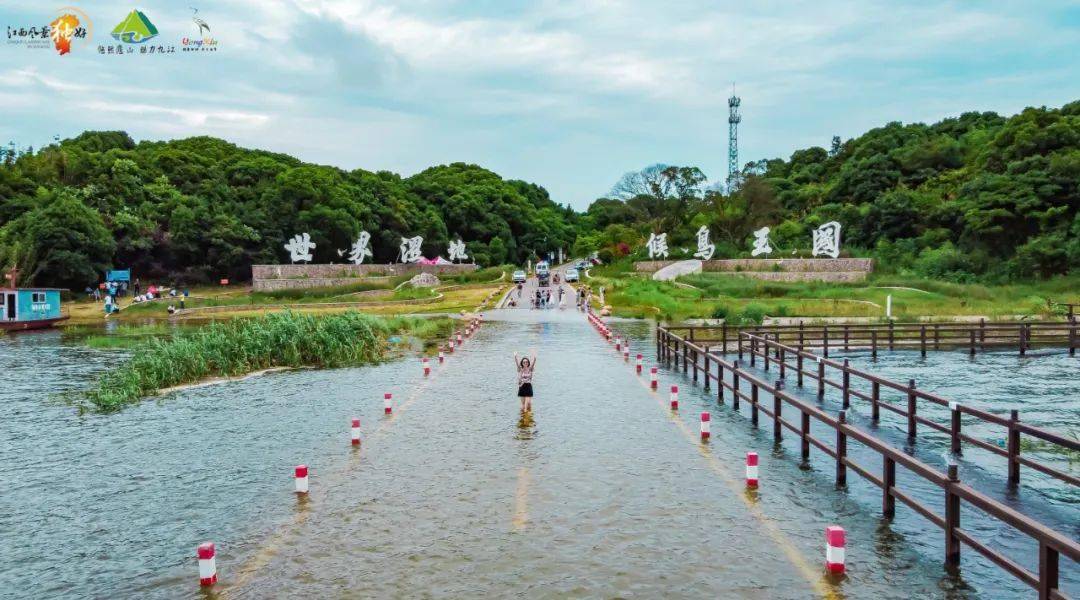 大家就出發了,前往中國最美水上公路永吳公路,吳城候鳥小鎮景區