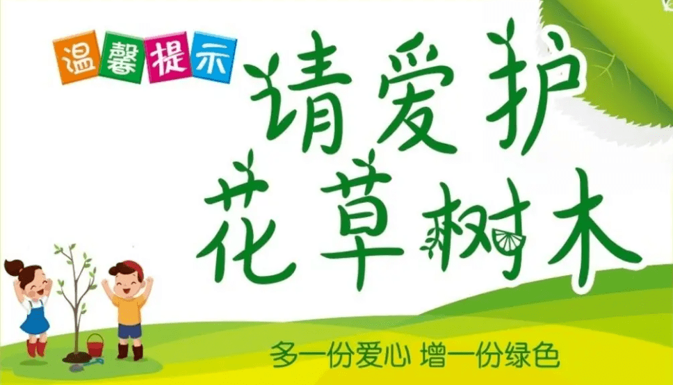 爱护花草树木和公共设施