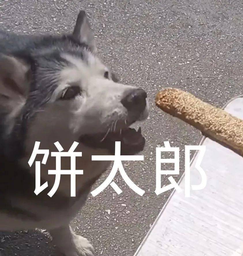 抖音最痴情舔狗火了连吃819天烧饼人送外号饼太郎