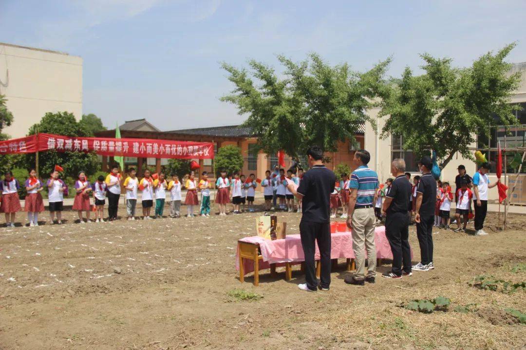 校园动态三垛镇二沟小学首届播种节开幕