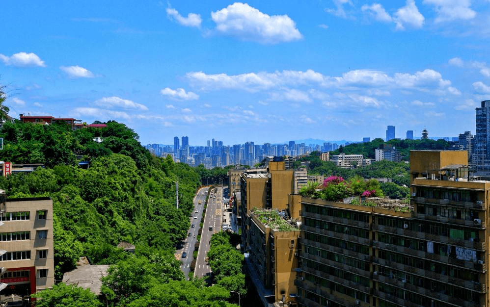 早生活重慶軌道交通線網圖上新了