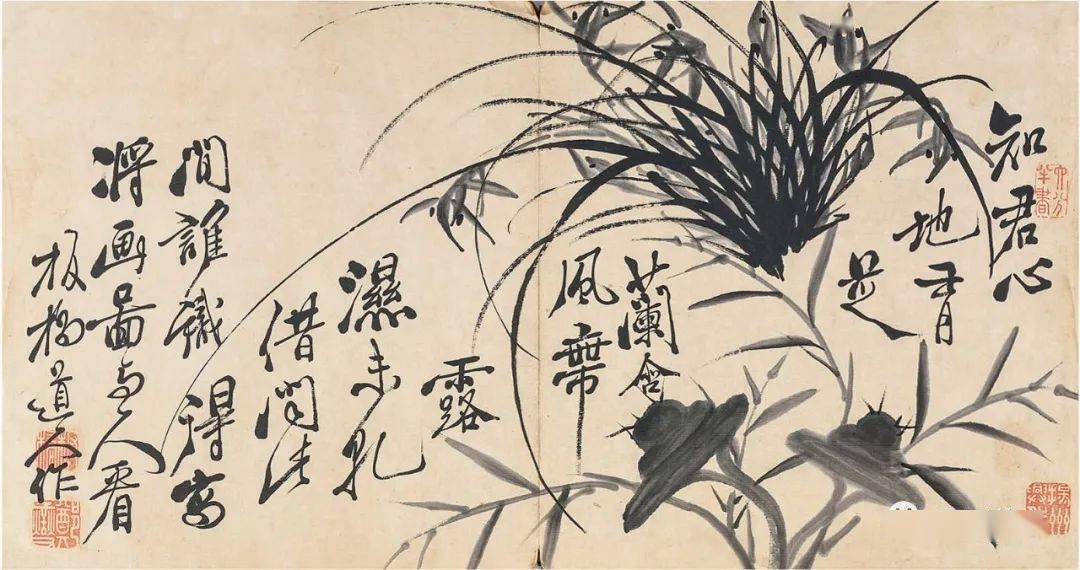 郑燮《兰石图册》欣赏_板桥_兰花之_乾隆